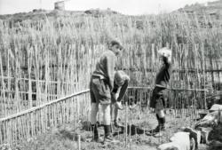 003 Atalaia 3 jardiniers