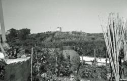 005 Le moulin