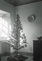 010 Atalaia arbre de noell