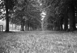 001 Allée