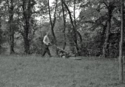 002 Chenonville Papa Gravely
