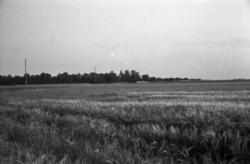 009 Chenonville paysage a partir du petit bois