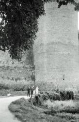014 Chenonville Fougères ou Lassay