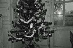 017 Chenonville Arbdre de Noel Soleil