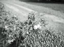 022 Chenonville 02