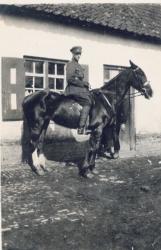 RICO 023