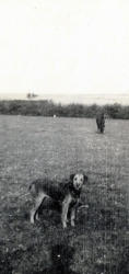 RICO 063