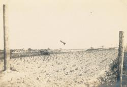 RICO 139