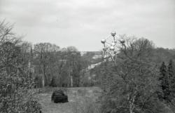 020 Stuyvenberg First Pics 09